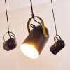 Riex Lámpara Colgante Negro-dorado, 5 luces