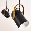 Riex Lámpara Colgante Negro-dorado, 5 luces