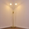 Gulkana Lámpara de Pie LED dorado, 2 luces