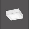 Leuchten-Direkt OSKAR Lámpara de techo LED Blanca, 1 luz