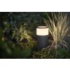 Philips Hue Ambiance White & Color Calla Pedestal, set de extensión LED Negro, 1 luz, Cambia de color