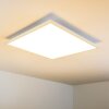 Lerum Lámpara de Techo LED Blanca, 1 luz