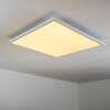 Lerum Lámpara de Techo LED Blanca, 1 luz