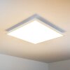 Lerum Lámpara de Techo LED Blanca, 1 luz