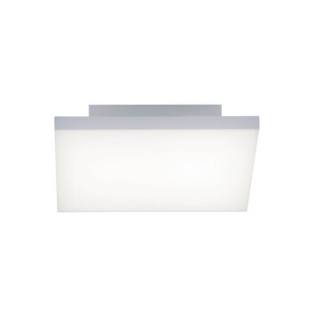 Paul Neuhaus FRAMELESS Lámpara de Techo LED Blanca, 1 luz, Mando a distancia