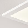 Antria Lámpara de Techo LED Blanca, 1 luz