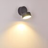 Ripen Aplique para exterior LED Antracita, 1 luz