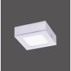 Leuchten-Direkt OSKAR Lámpara de techo LED Plata, 1 luz