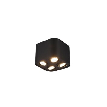 Lámpara de Techo Trio Leuchten COOKIE Negro, 4 luces