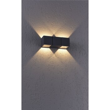 Paul Neuhaus MARCEL Aplique LED Antracita, 2 luces