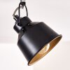 Safari Lámpara de Techo Negro-dorado, 3 luces