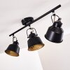 Safari Lámpara de Techo Negro-dorado, 3 luces