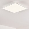 Antria Lámpara de Techo LED Blanca, 1 luz