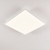 Antria Lámpara de Techo LED Blanca, 1 luz