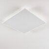 Antria Lámpara de Techo LED Blanca, 1 luz