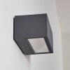 Aplique para exterior Spidern LED Antracita, 1 luz