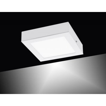 Leuchten-Direkt OSKAR Lámpara de techo LED Blanca, 1 luz