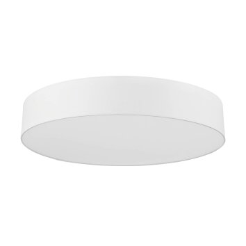 Eglo ROMAO-C Lámpara de Techo LED Blanca, 1 luz