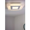 Helestra Lámpara de techo LED Aluminio, Blanca, 1 luz