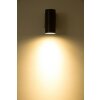 Globo LED Aplique para exterior Negro, 1 luz