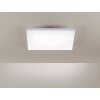 Lámpara de Techo Paul Neuhaus FRAMELESS LED Blanca, 1 luz, Mando a distancia
