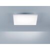 Lámpara de Techo Paul Neuhaus FRAMELESS LED Blanca, 1 luz, Mando a distancia