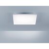 Lámpara de Techo Paul Neuhaus FRAMELESS LED Blanca, 1 luz, Mando a distancia