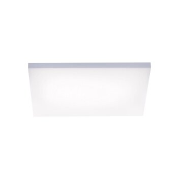 Lámpara de Techo Paul Neuhaus FRAMELESS LED Blanca, 1 luz, Mando a distancia