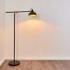 Luven Lámpara de Pie dorado, Negro, Negro-dorado, 1 luz