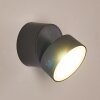 Schelde Aplique para exterior LED Antracita, 1 luz