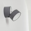 Schelde Aplique para exterior LED Antracita, 1 luz