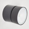 Schelde Aplique para exterior LED Antracita, 1 luz