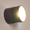 Schelde Aplique para exterior LED Antracita, 1 luz