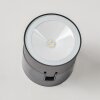 Schelde Aplique para exterior LED Antracita, 1 luz
