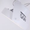 Steinhauer Mexlite Proyector LED Blanca, 1 luz