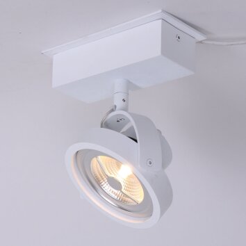 Steinhauer Mexlite Proyector LED Blanca, 1 luz