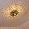 Lepa Lámpara de Techo Negro, 1 luz