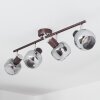 Arconciel Lámpara de Techo Marrón, 4 luces
