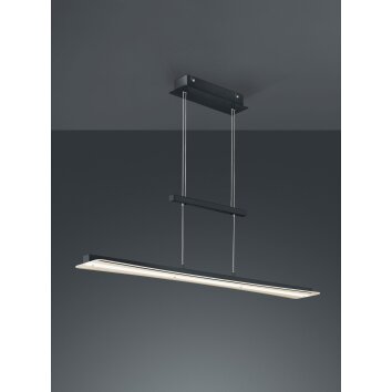 Reality Smash Lámpara Colgante LED Negro, 1 luz Reality Smash Lámpara Colgante LED Negro, 1 luz