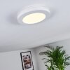 Siguna Lámpara de Techo LED Blanca, 1 luz