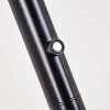 Wonsbek Lámpara de Pie LED Negro, 1 luz Wonsbek Lámpara de Pie LED Negro, 1 luz