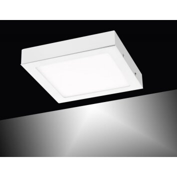 Leuchten-Direkt OSKAR Lámpara de techo LED Blanca, 1 luz