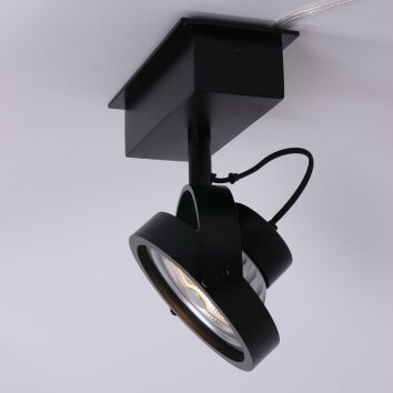 Steinhauer Mexlite Proyector LED Negro, 1 luz