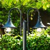 Elgin Candelabro Negro, 2 luces