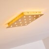 Pionnat Lámpara de Techo LED dorado, 16 luces