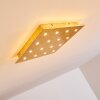 Pionnat Lámpara de Techo LED dorado, 16 luces