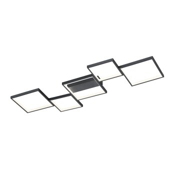 Trio Sorrento Lámpara de Techo LED Negro, 1 luz