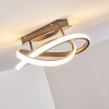 Cochato Lámpara de Techo LED Níquel-mate, 1 luz