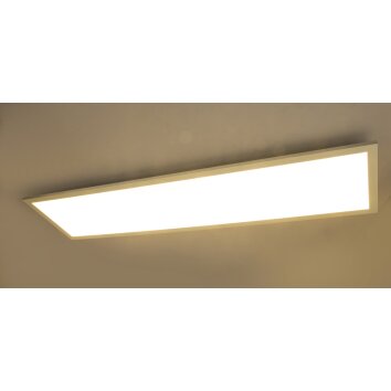 Globo ROSI Lámpara de Techo LED Blanca, 1 luz, Mando a distancia