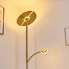 Cazis Lámpara de Pie LED Latón, 2 luces